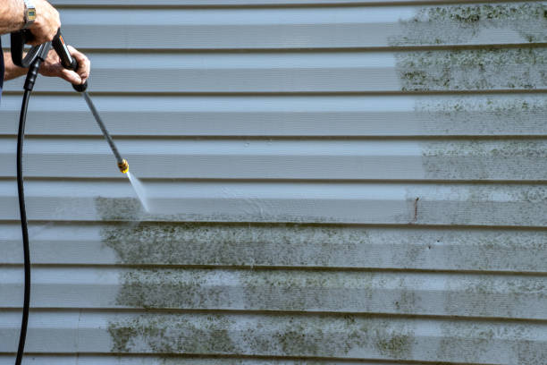 Best Storm Damage Siding Repair  in Lancaster, WI